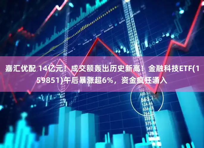 嘉汇优配 14亿元！成交额轰出历史新高！金融科技ETF(159851)午后暴涨超6%，资金疯狂涌入