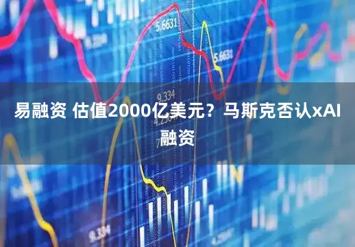 易融资 估值2000亿美元？马斯克否认xAI融资