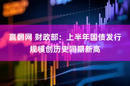赢翻网 财政部：上半年国债发行规模创历史同期新高