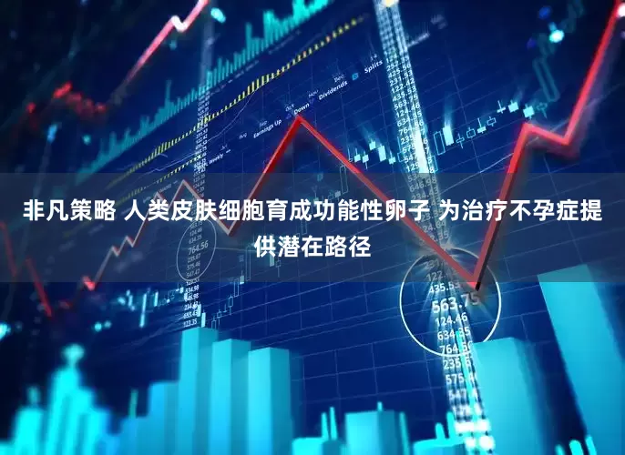 非凡策略 人类皮肤细胞育成功能性卵子 为治疗不孕症提供潜在路径
