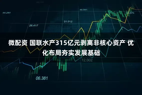 微配资 国联水产315亿元剥离非核心资产 优化布局夯实发展基础